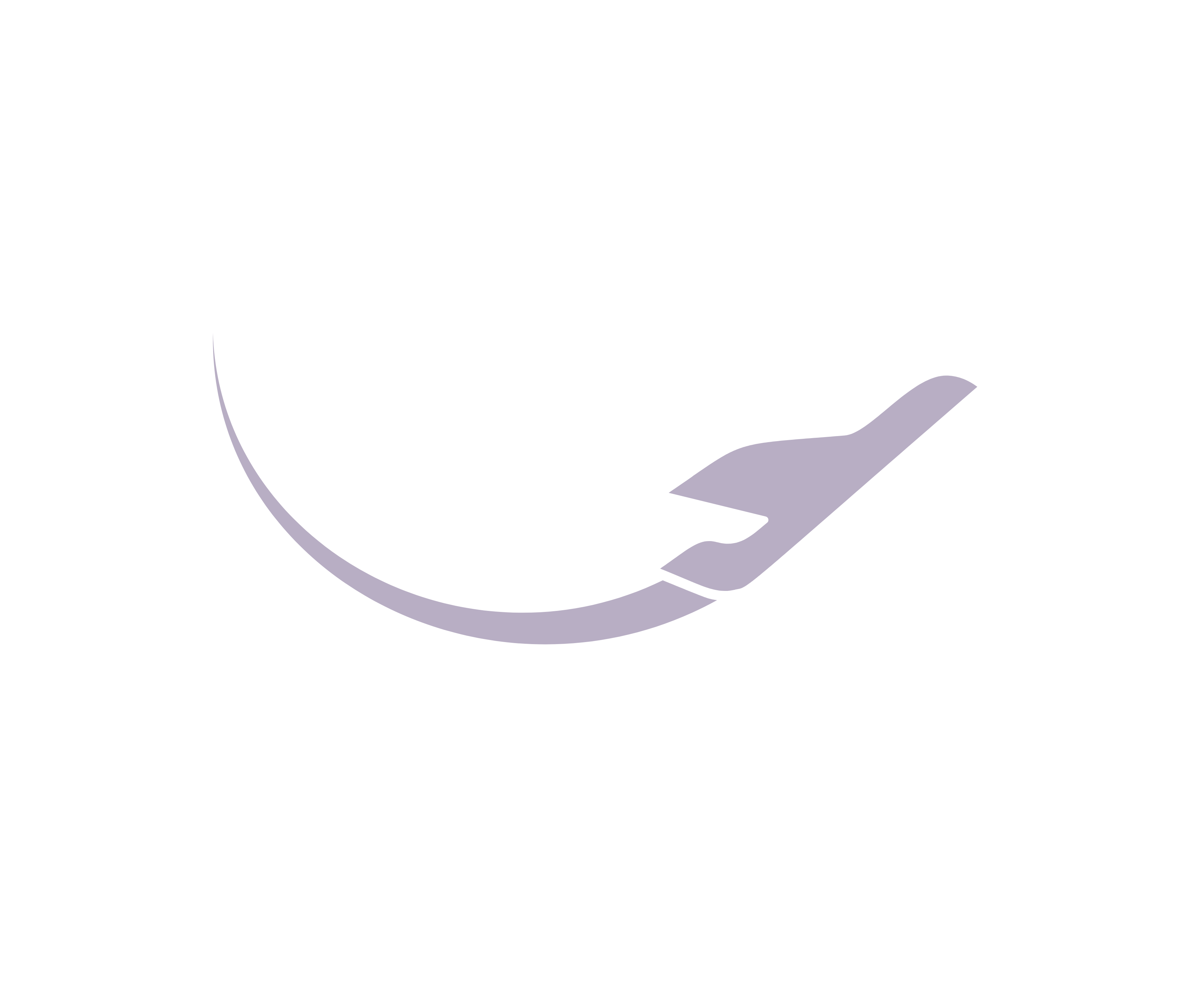 Dreamline Vacations Inc.